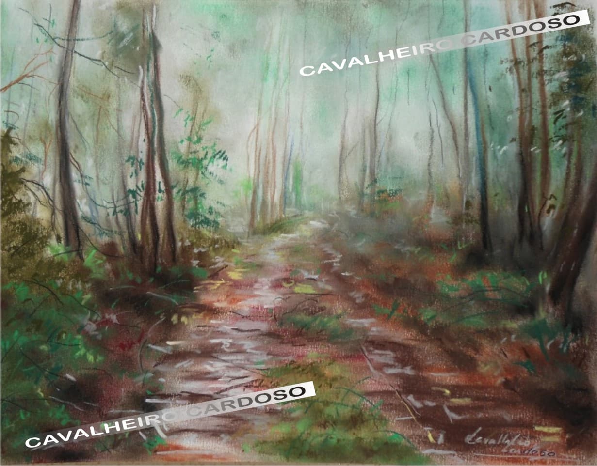 Caminhada no Bosque