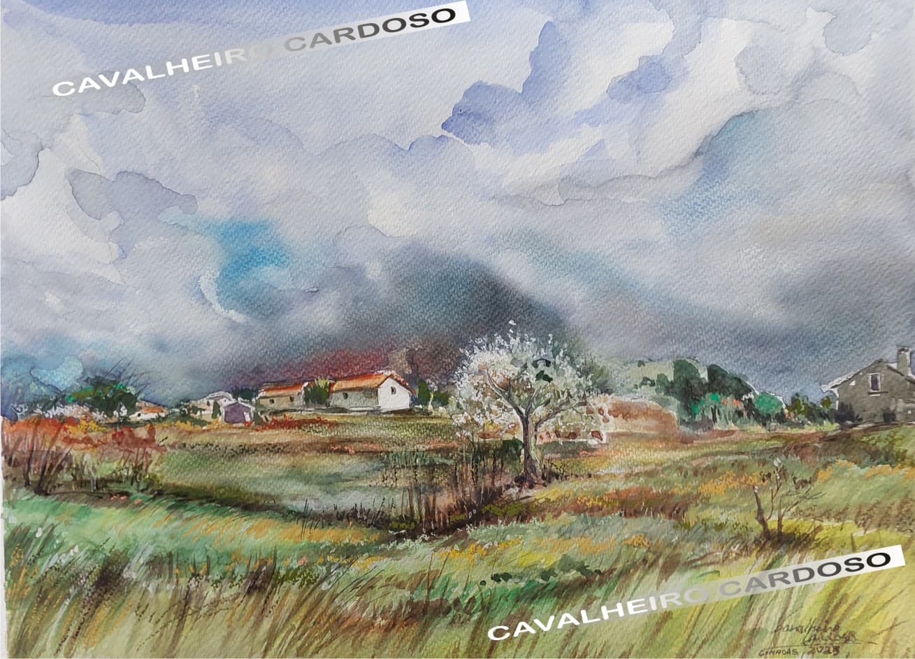 Primavera em Cimadas