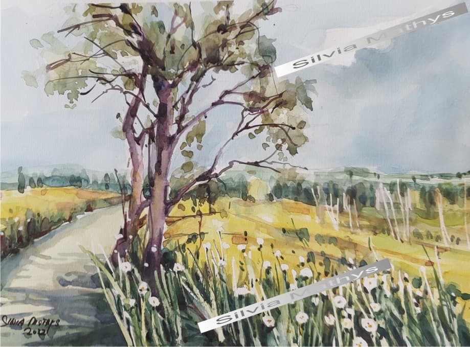 Caminho da manhã