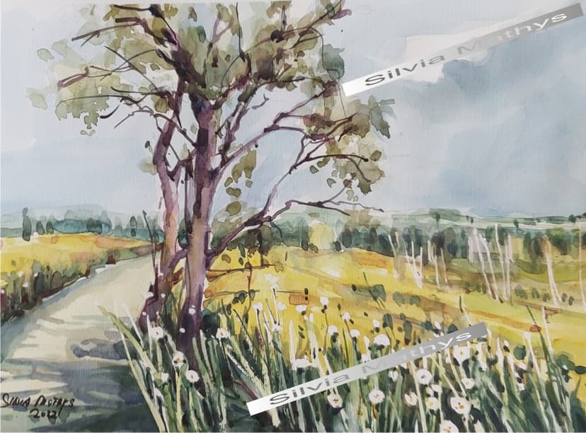 Caminho da manhã