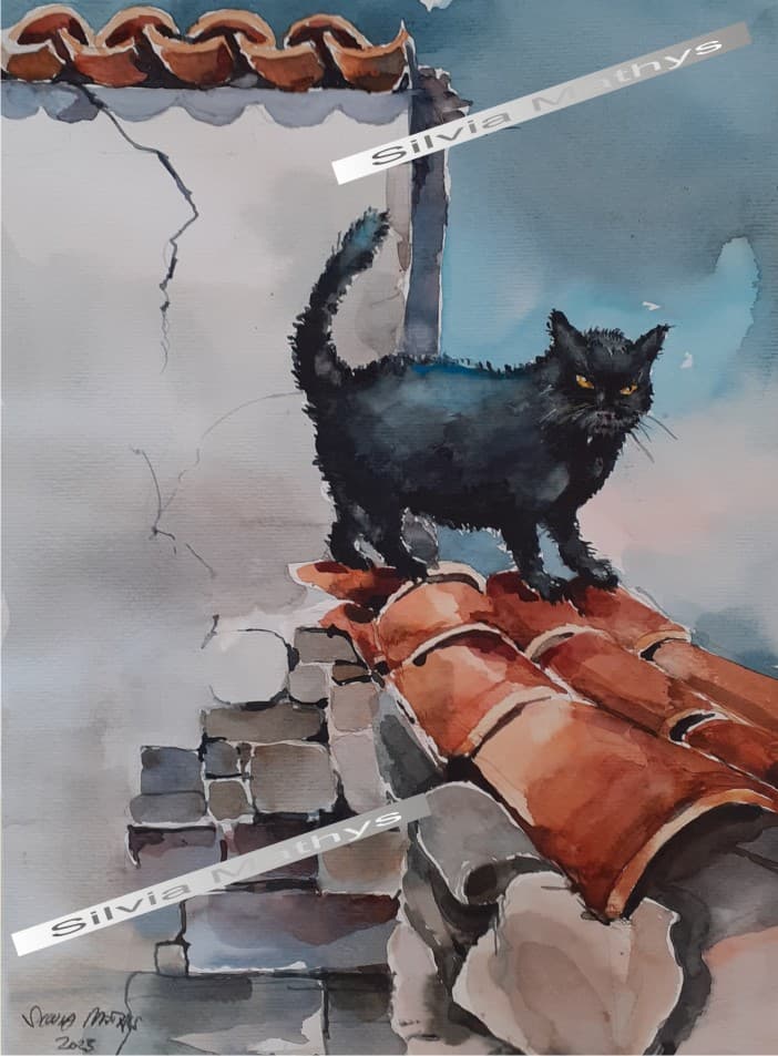 Gato vizinha